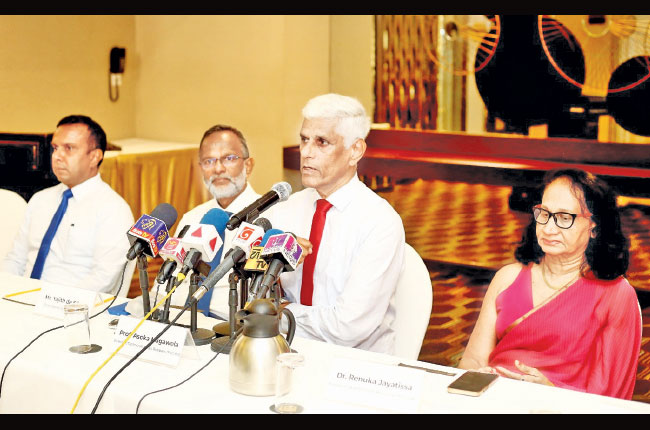 Oil palm stakeholders urge resuming cultivation