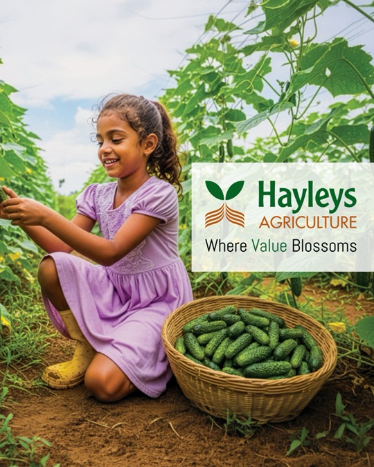 Hayleys Agriculture Holdings Charts a Strategic Course for Market Leadership