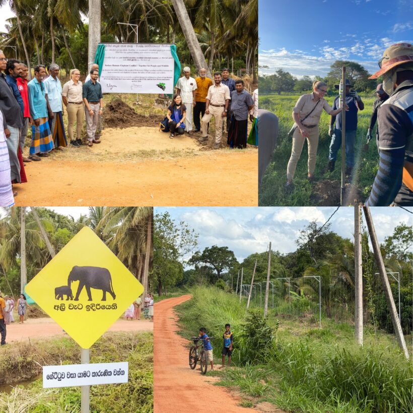 Uga Resorts Launches Second Phase of Community Elephant Coexistence Project in Sri Lanka