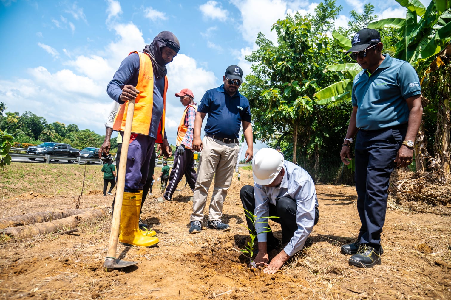 Alumex PLC Supports Expressway Reforestation Project