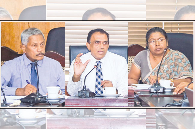 Stakeholder discussion for development of Sri Lankan Cashew Sector